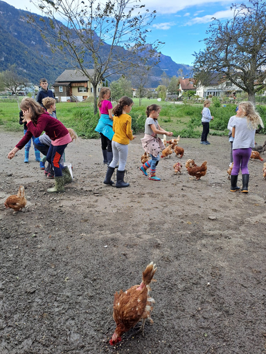 2024_Besuch auf dem Bauernhof