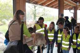 Tierpark 2018