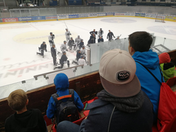 Forza Ambri 2018