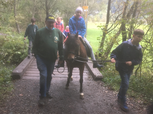 Mit dem Pony unterwegs, Reussdelta