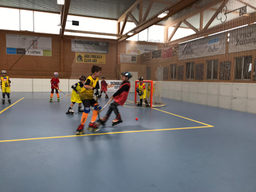 Rollhockey 2018