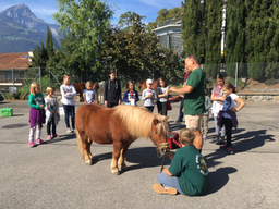 Mit dem Pony unterwegs 2018