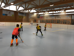 Rollhockey 2018