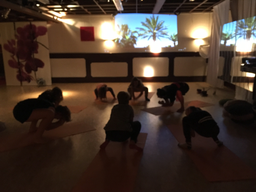 Dschungel-Yoga 2018