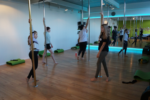 2022_Polefitness